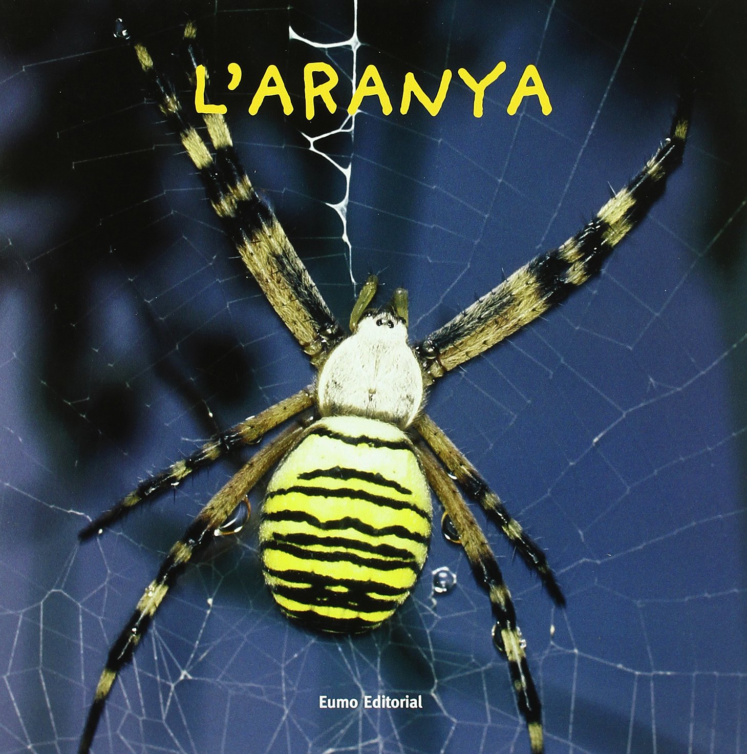 L'aranya