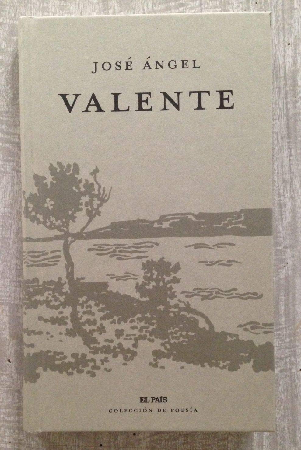 José Ángel Valente
