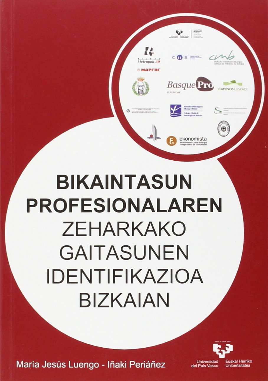 Identificación de competencias transversales de la excelencia profesional en Bizkaia