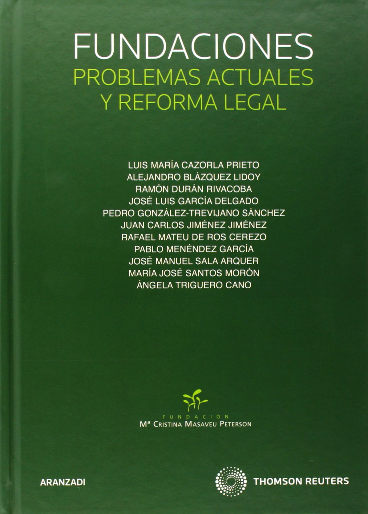 Fundaciones: Problemas actuales y reforma legal