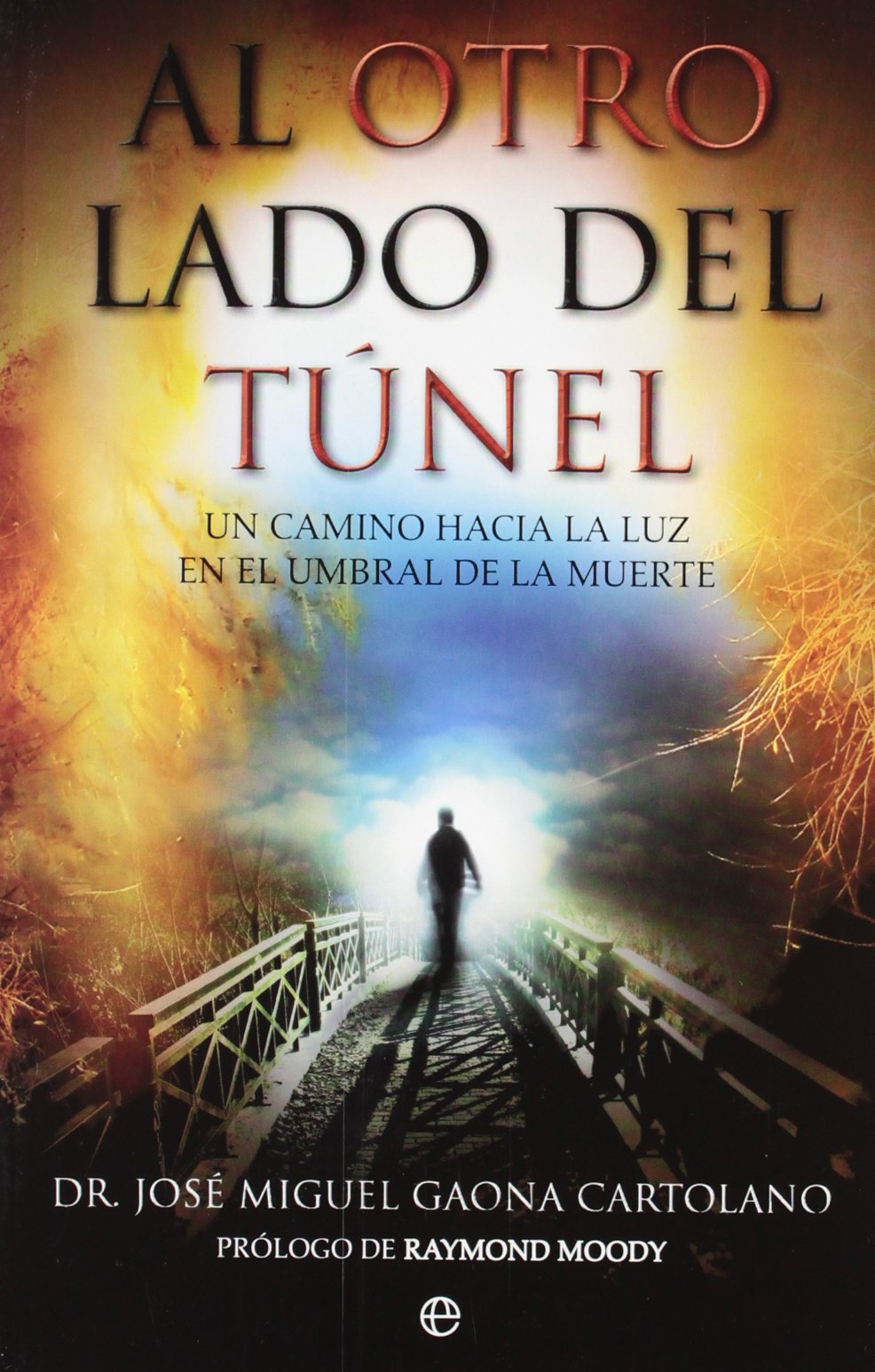 Al Otro Lado Del Tunel 