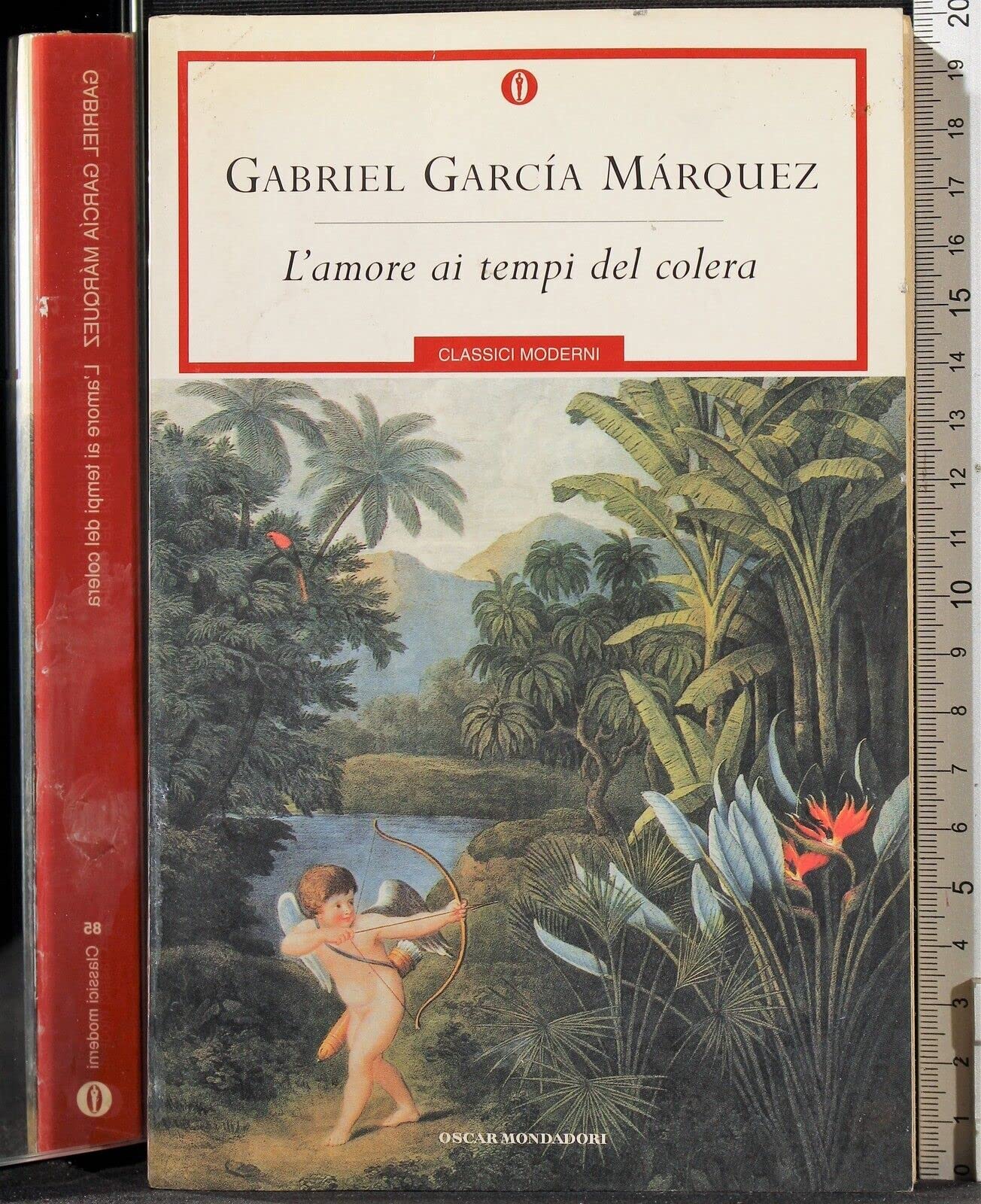 L' Amore Ai Tempi Del Colera