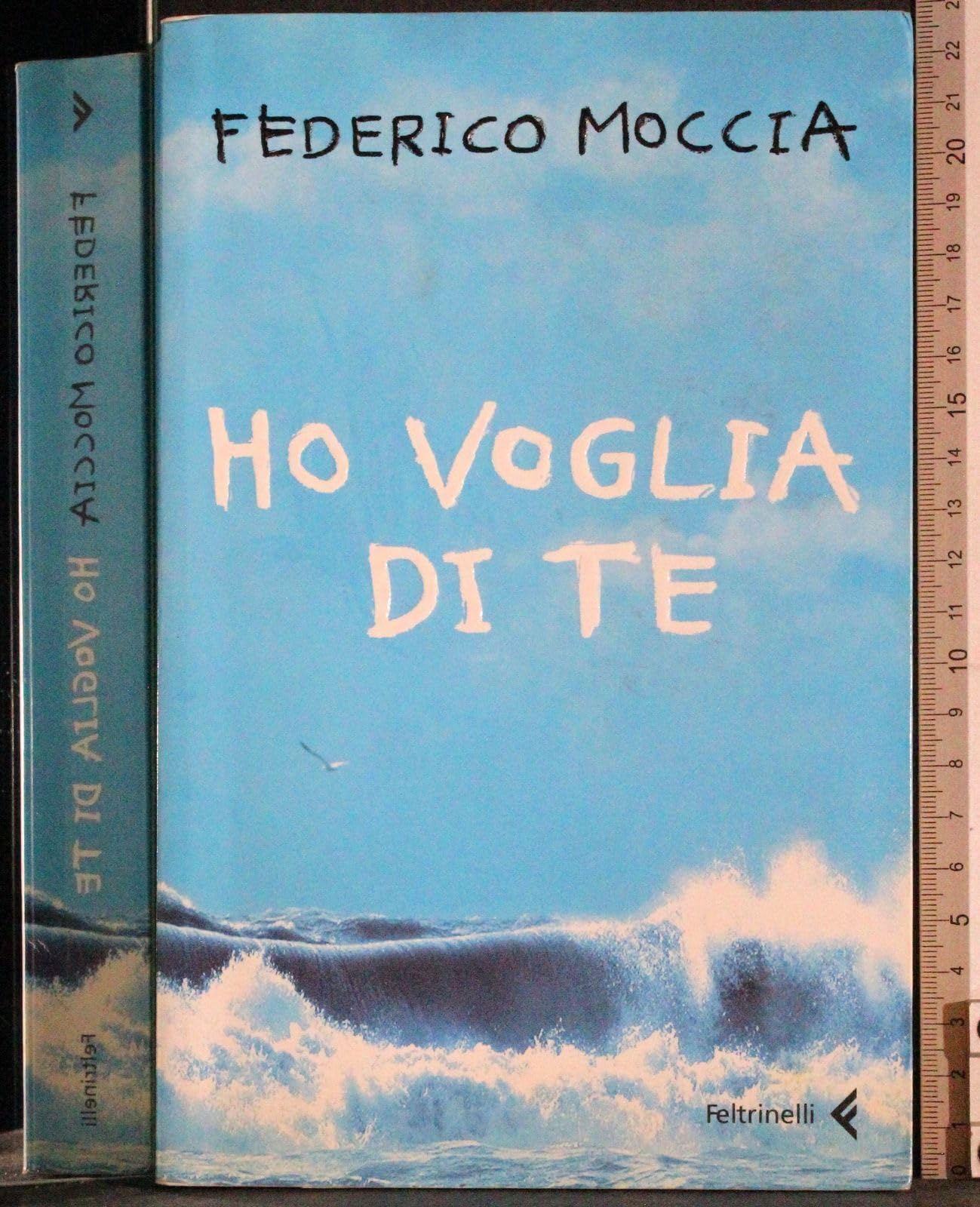 Ho voglia di te