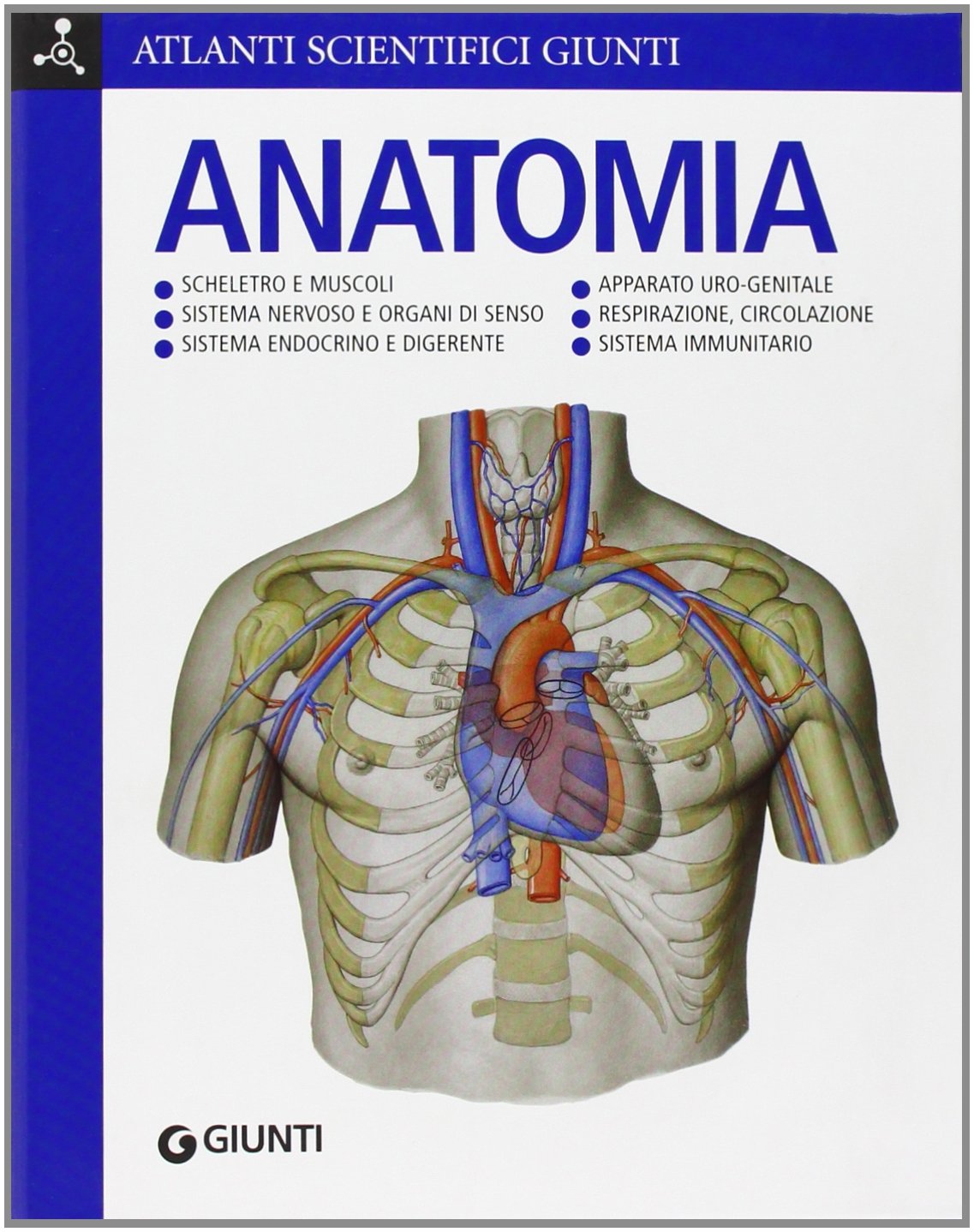 Anatomia. Ediz. Illustrata