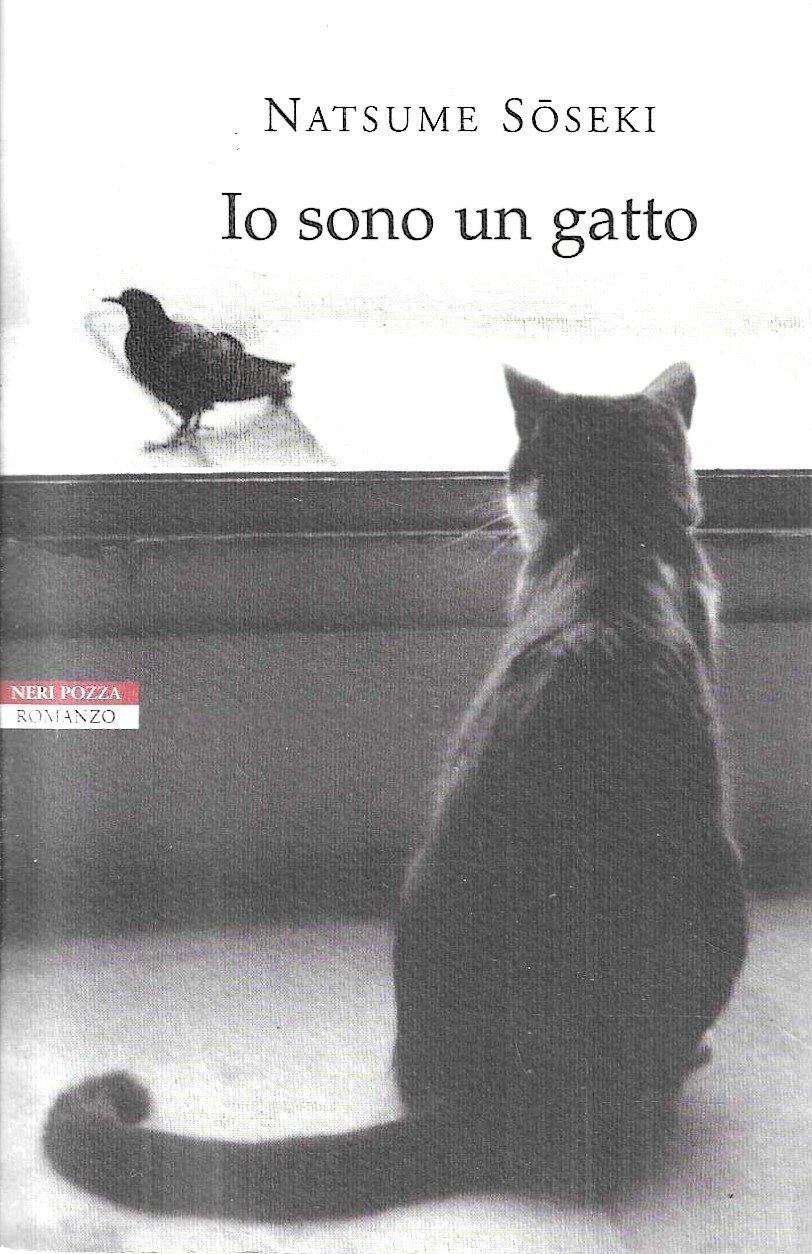 Io Sono Un Gatto