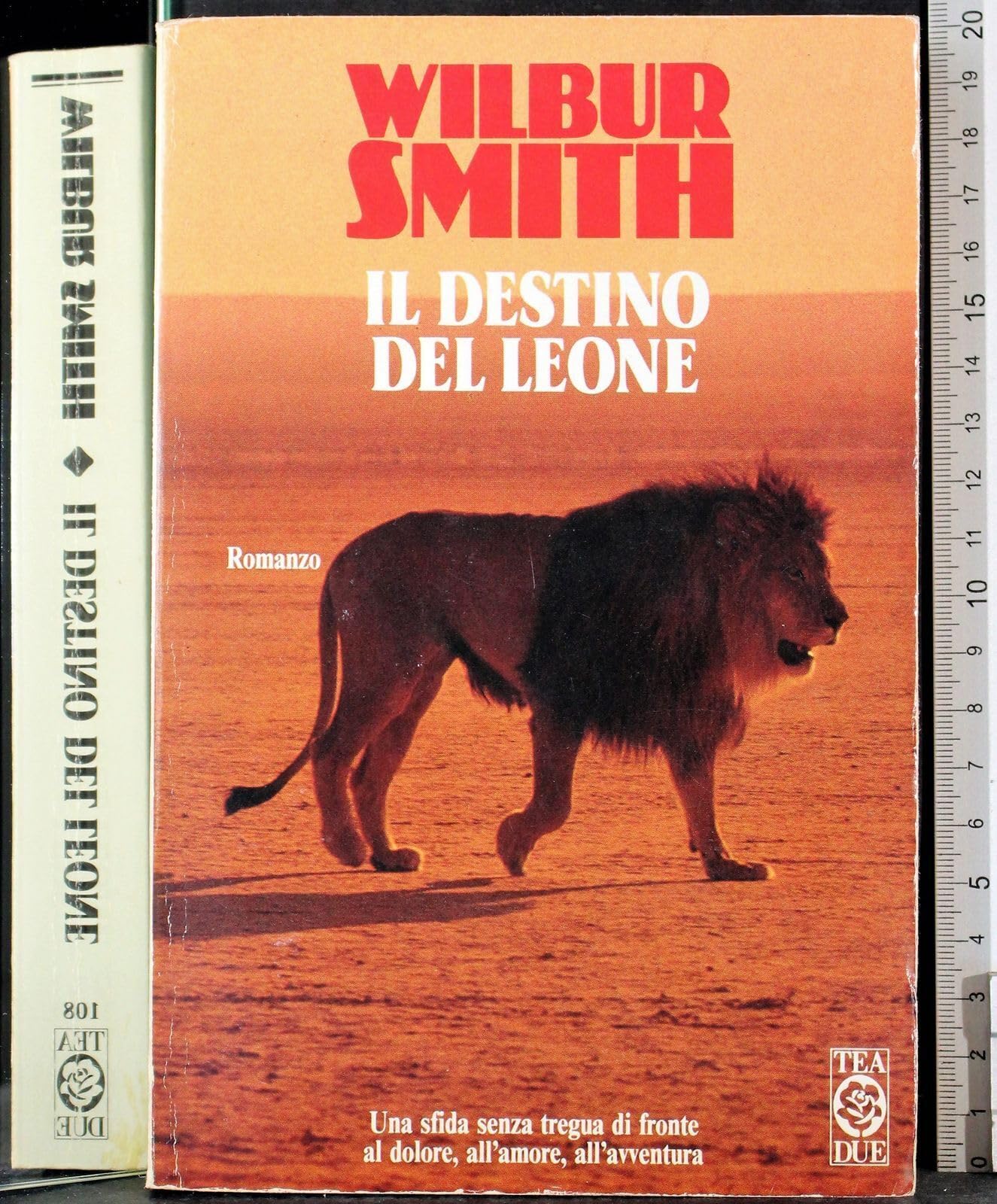 Il Destino Del Leone