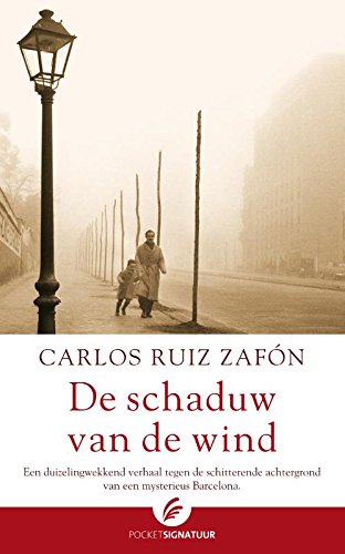 De Schaduw Van de Wind