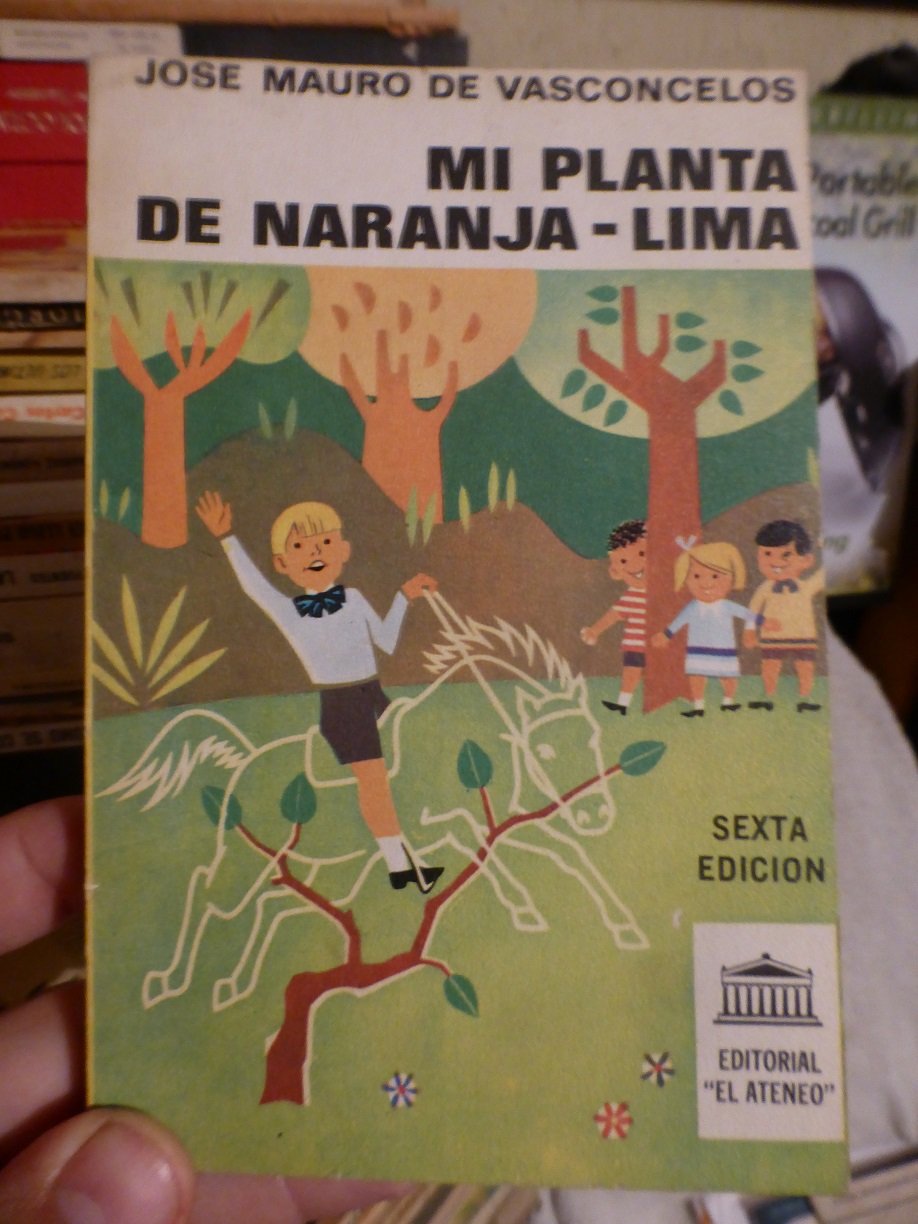 Mi planta de naranja-lima