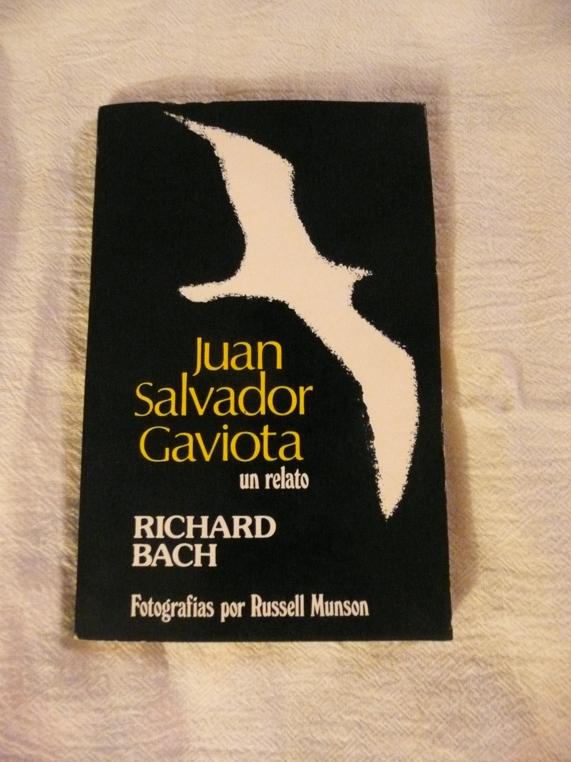 Juan Salvador Gaviota