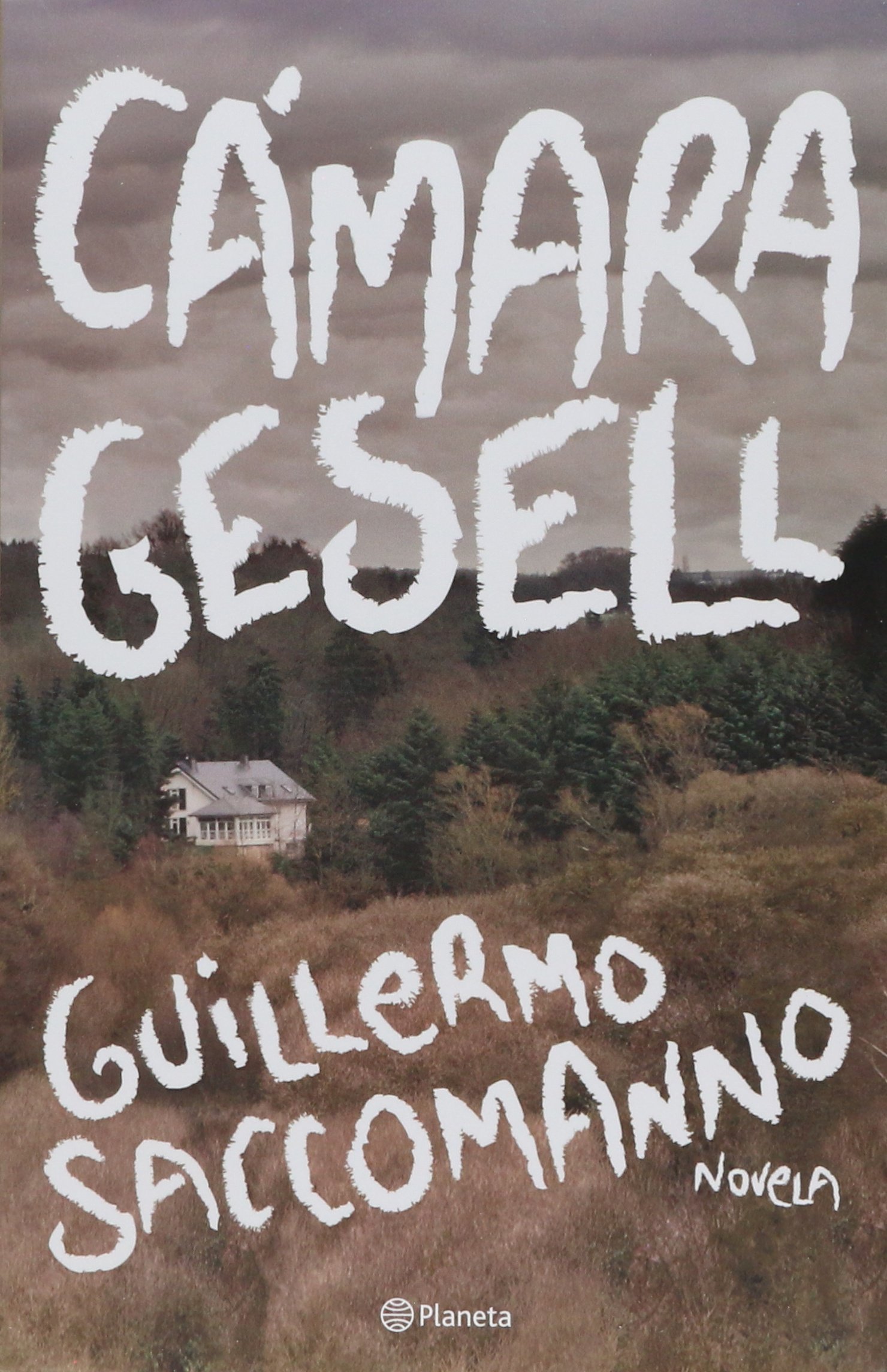 Cámara Gesell
